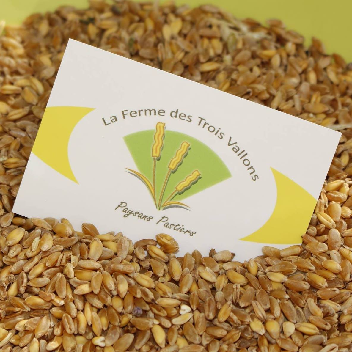 Ferme des 3 vallons Ferme des 3 vallons