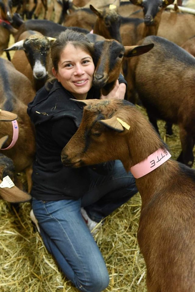 La ferme d'Ulteria La ferme d'Ulteria